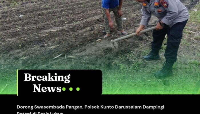 Dorong Swasembada Pangan, Polsek Kunto Darussalam Dampingi Petani di Pasir Luhur