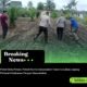 Polisi Cinta Petani, Polsek Kunto Darussalam Turun ke Lahan Jagung Perkuat Ketahanan Pangan Masyarakat