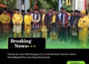Mandai Ulu Taon 2026 Menggema di Luhak Rambah, Warisan Leluhur Mandailing Na Pitu Huta Tetap Bermarwah