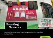 Kapolsek Tambusai Utara Pimpin Penggerebekan, 128 Gram Sabu Berhasil Disita
