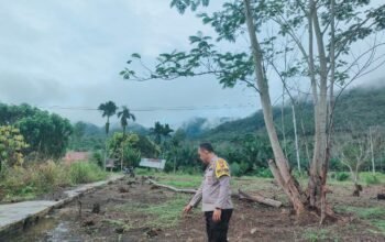 Polsek Rokan IV Koto Perkuat Ketahanan Pangan di Desa Cipang Kiri Hulu