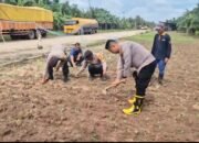 Sempat Gagal Akibat Cuaca Ekstrem, Lahan Jagung Warga Kini Tumbuh Subur Usai Ditinjau Kapolsek Sungai Sembilan
