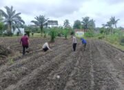 Perkuat Ketahanan Pangan, Polsek Kunto Darussalam Lakukan Pendampingan Petani di Pasir Luhur