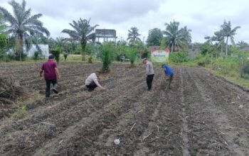 Perkuat Ketahanan Pangan, Polsek Kunto Darussalam Lakukan Pendampingan Petani di Pasir Luhur