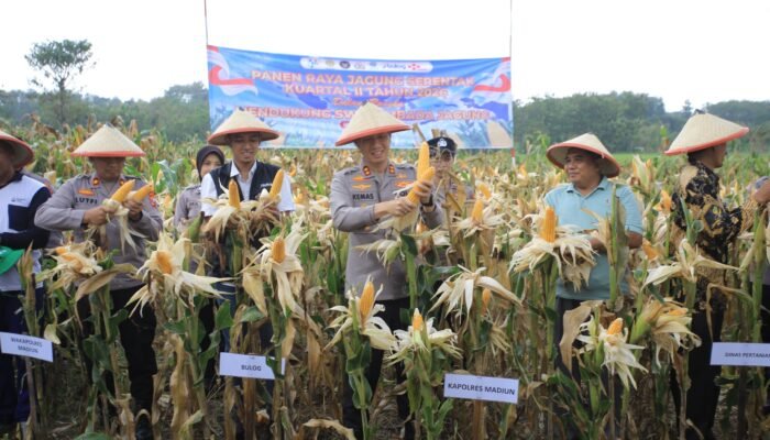 Dukung Swasembada Pangan, Polres Madiun Gelar Panen Raya Jagung Serentak Kuartal II 2026
