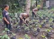 Ketahanan Pangan Dimulai dari Pekarangan, Bhabinkamtibmas Sungai Sembilan Hadir Bersama Petani Lubuk Gaung