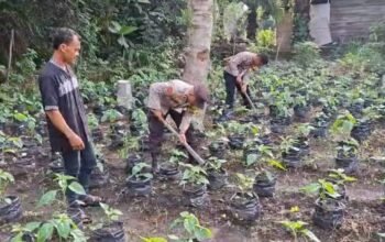 Ketahanan Pangan Dimulai dari Pekarangan, Bhabinkamtibmas Sungai Sembilan Hadir Bersama Petani Lubuk Gaung