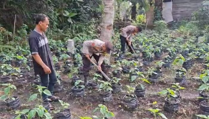 Ketahanan Pangan Dimulai dari Pekarangan, Bhabinkamtibmas Sungai Sembilan Hadir Bersama Petani Lubuk Gaung