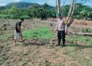 Polsek Rokan IV Koto Perkuat Swasembada Pangan di Cipang Kiri Hulu