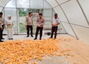 Polsek Tambusai Utara Dukung Petani Rantau Sakti