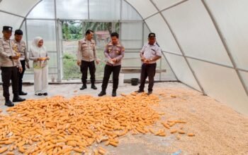 Polsek Tambusai Utara Dukung Petani Rantau Sakti