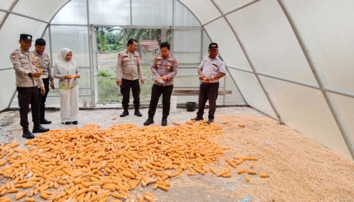Polsek Tambusai Utara Dukung Petani Rantau Sakti