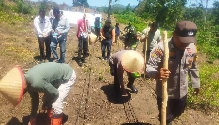 Polsek Rokan IV Koto Turun ke Desa Cipang Kiri Hilir Perkuat Ketahanan Pangan Nasional