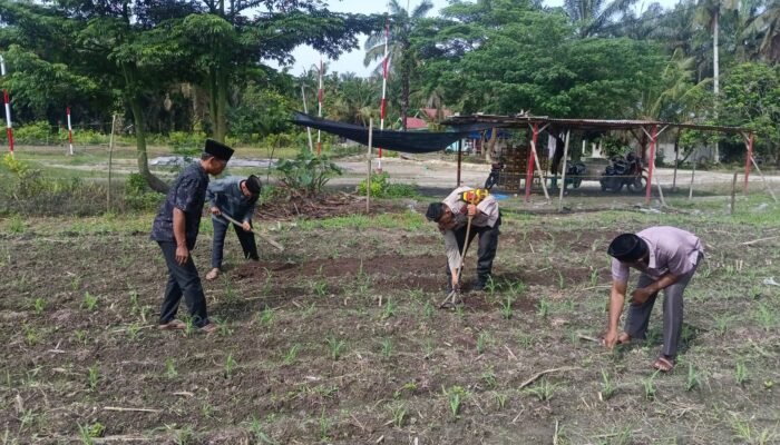 Polsek Kunto Darussalam Dukung Ketahanan Pangan Nasional, Lakukan Pengecekan Lahan Jagung di Desa Pasir Luhur