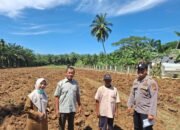 Gerak Polisi Cinta Petani Polsek Rambah Hilir di Balik Persiapan Lahan Jagung Rambah Muda