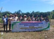 Polsek Rokan IV Koto Turun Langsung Tanam Jagung Bersama Warga di Lubuk Bendahara Timur, Wujud Polisi Cinta Petani