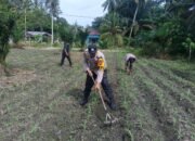 Komitmen Nyata Polsek Kunto Darussalam: Mengawal Ketahanan Pangan Nasional dari Lahan Jagung Pasir Luhur