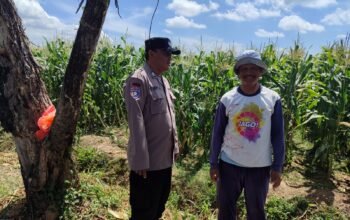 Bhabinkamtibmas Desa Trosono Sambangi Lahan Jagung Warga, Dengarkan Keluhan Petani