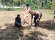 Polisi Cinta Petani, Polsek Rokan IV Koto Optimalkan Pendampingan dalam Penguatan Ketahanan Pangan Nasional di Desa Suligi