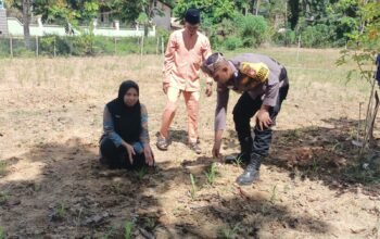 Polisi Cinta Petani, Polsek Rokan IV Koto Optimalkan Pendampingan dalam Penguatan Ketahanan Pangan Nasional di Desa Suligi