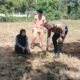 Polisi Cinta Petani, Polsek Rokan IV Koto Optimalkan Pendampingan dalam Penguatan Ketahanan Pangan Nasional di Desa Suligi