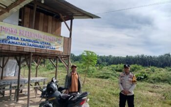 Ketahanan Pangan Nasional Diperkuat, Polsek Tambusai Utara Tanam Jagung di Lahan Desa