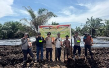 Polri Hadir untuk Ketahanan Pangan, Polres Dumai Garap Lahan Jagung 2 Hektar di Batu Teritib