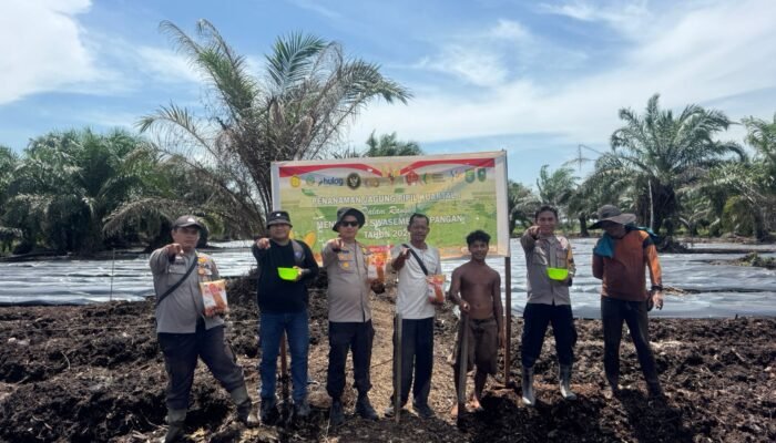 Polri Hadir untuk Ketahanan Pangan, Polres Dumai Garap Lahan Jagung 2 Hektar di Batu Teritib