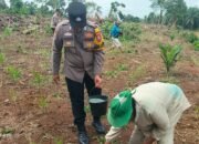 Polsek Tandun Intensif Kawal Budidaya Jagung Pipil, Dukung Percepatan Swasembada Pangan Nasional