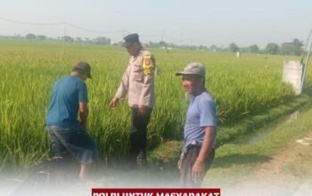 Bhabinkamtibmas Klagen Bangun Kedekatan dengan Petani Lewat Sambang Persawahan