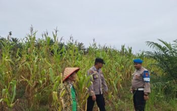 Polsek Rambah Hilir Perkuat Sektor Hulu Pertanian untuk Mendukung Ketahanan Pangan Nasional