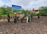 Dukung Swasembada Pangan, Polsek Tambusai Utara Tanam Jagung Hibrida di Desa Bangun Jaya