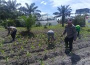 Polsek Kunto Darusalam Dukung Ketahanan Pangan Nasional Melalui Pengendalian Hama Dan Pengelolaan Irigarasi Pertanian di Desa Pasir Luhur