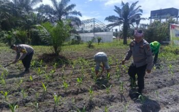 Polsek Kunto Darusalam Dukung Ketahanan Pangan Nasional Melalui Pengendalian Hama Dan Pengelolaan Irigarasi Pertanian di Desa Pasir Luhur