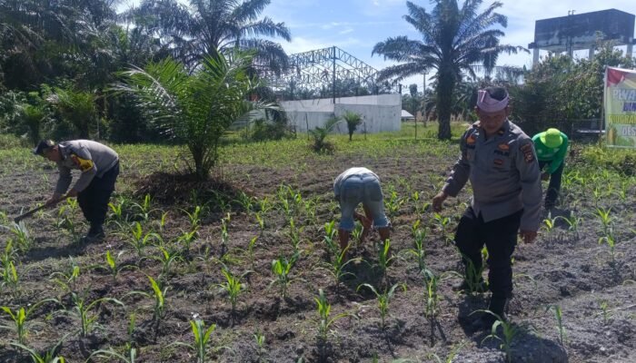 Polsek Kunto Darusalam Dukung Ketahanan Pangan Nasional Melalui Pengendalian Hama Dan Pengelolaan Irigarasi Pertanian di Desa Pasir Luhur