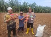 Polsek Rambah Hilir Perkuat Sektor Pertanian Lewat Pendampingan dan Monitoring, Dorong Swasembada Pangan Nasional