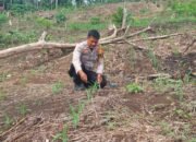 Polsek Rokan IV Koto Perkuat Kelembagaan Petani Menuju Swasembada Pangan Nasional