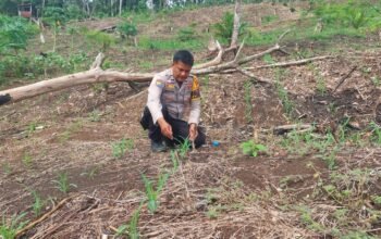 Polsek Rokan IV Koto Perkuat Kelembagaan Petani Menuju Swasembada Pangan Nasional