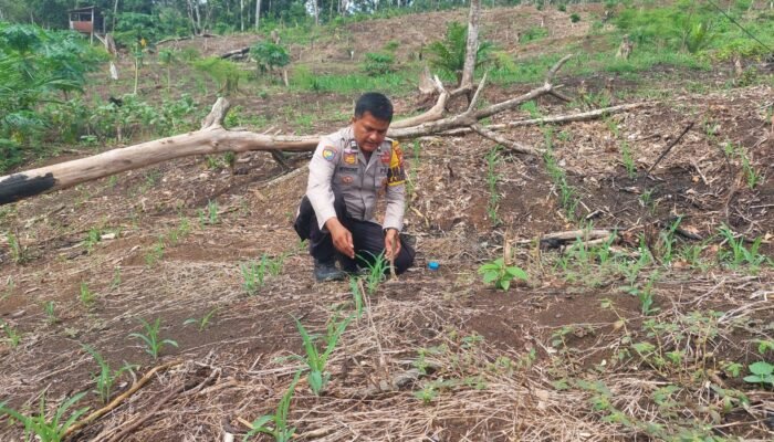 Polsek Rokan IV Koto Perkuat Kelembagaan Petani Menuju Swasembada Pangan Nasional
