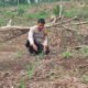 Polsek Rokan IV Koto Perkuat Kelembagaan Petani Menuju Swasembada Pangan Nasional
