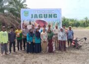 Melalui Pertanian Modern dan Benih Unggul, Polsek Tambusai Utara Dukung Ketahanan Pangan Nasional