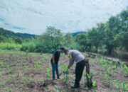 Polsek Rokan IV Koto Dukung Ketahanan Pangan Nasional Melalui Penguatan Pertanian Modern dan Smart Farming