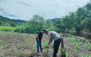 Polsek Rokan IV Koto Dukung Ketahanan Pangan Nasional Melalui Penguatan Pertanian Modern dan Smart Farming