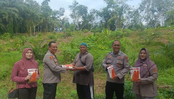 Polsek Rambah Hilir Dukung Swasembada Pangan Nasional melalui Benih Jagung Unggul dan Teknologi Pertanian di Desa Rambah