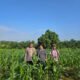 Pastikan Produktivitas Jagung Tetap Optimal, Kabag SDM Polres Rokan Hulu Tinjau Lahan Ketahanan Pangan Seluas 6 Hektare