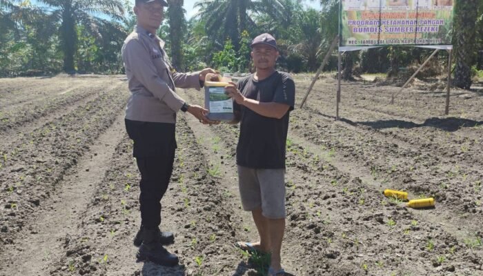 Polsek Tambusai Utara Dukung Ketahanan Pangan, Serahkan Pupuk Cair untuk Petani Jagung di Desa Rantau Sakti