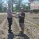 Polsek Tambusai Utara Dukung Ketahanan Pangan, Serahkan Pupuk Cair untuk Petani Jagung di Desa Rantau Sakti