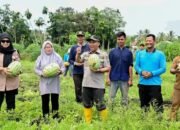Panen Semangka Petani Milenial, Wabup Ajak Perkuat Sinergi Membangun Pertanian Modern