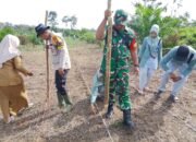 Polsek Rokan IV Koto Bersama Upika Tanam Jagung di Sei Kandis, Perkuat Dukungan terhadap Swasembada Pangan Nasional