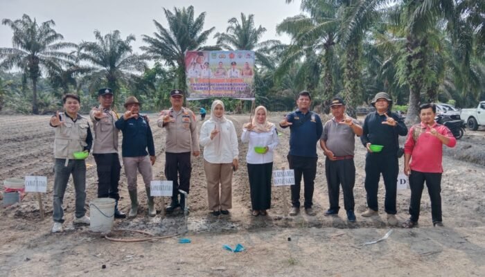 Dukung Program Ketahanan Pangan, Polsek Tambusai Utara Hadiri Penanaman Jagung Kuartal III di Desa Rantau Sakti